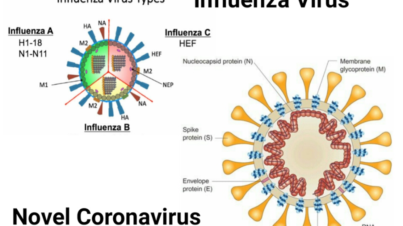Antiviral treatments for novel influenza: current options and future developments